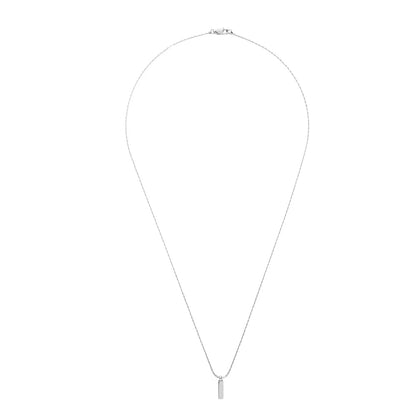 Snake Bone Tag Chain